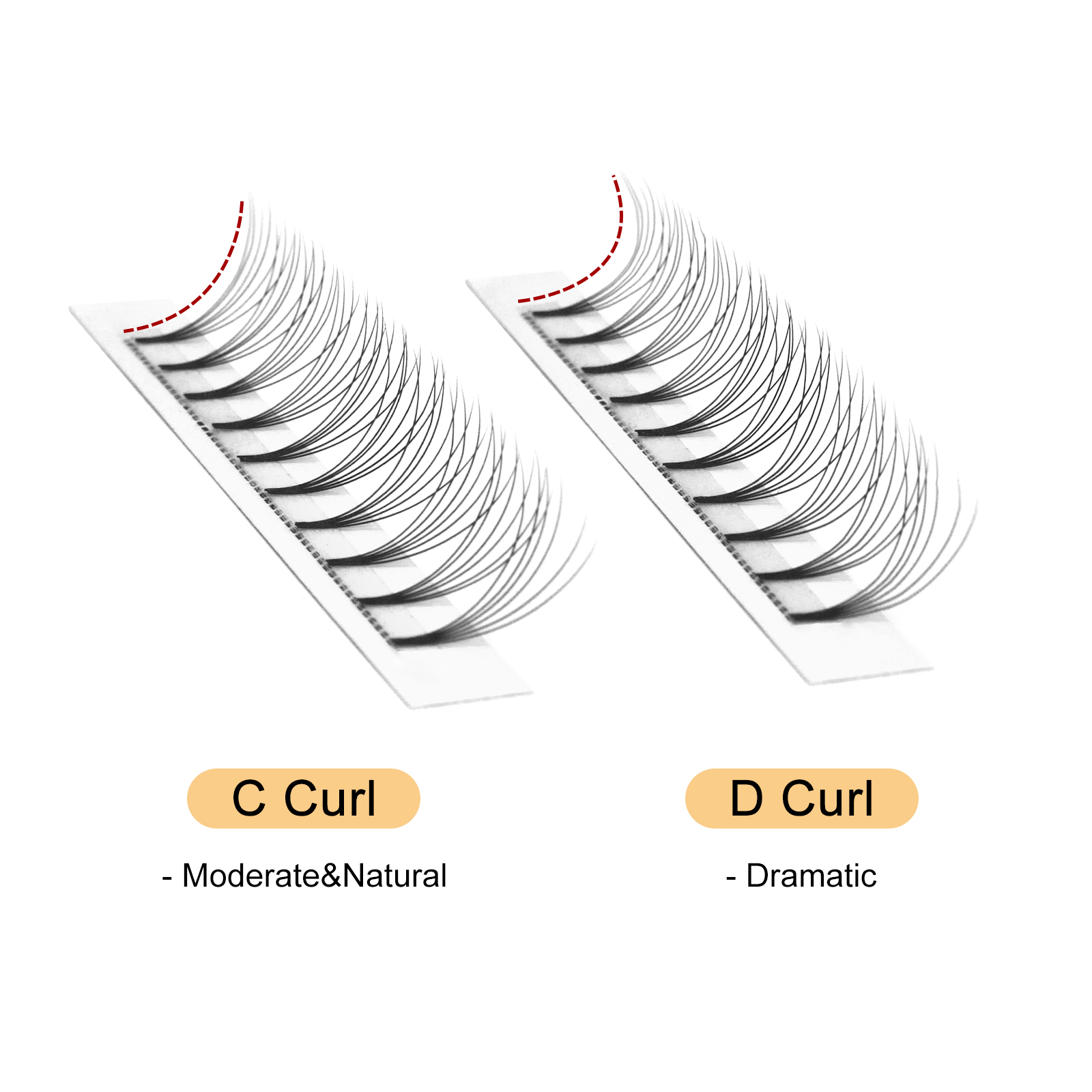 Quewel Premade Fans Lashes 8D/ - Lash Tray Organizer recensione e prezzo