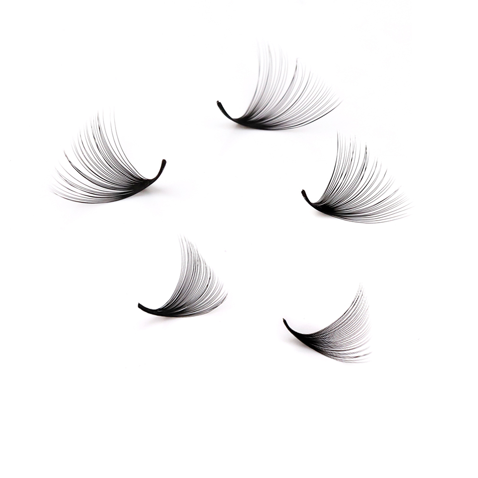 Lashprofessor XL Tray 3D 4D 5D - Eyelash Extension Mega Volume recensione e prezzo